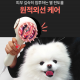 [포그밍 반려동물 관리기] 애견 진드기 냄새 세균 제거 원적외선 관절 귀 발바닥 염증 피부 완화