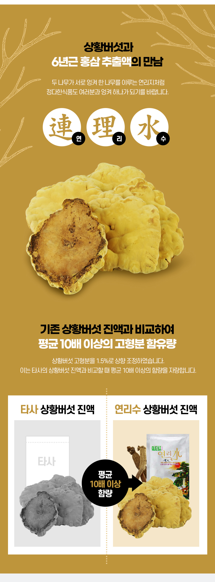 [정다한 연리수] 상황버섯 진액 혼합 홍삼액 70ml x 30포 선물세트