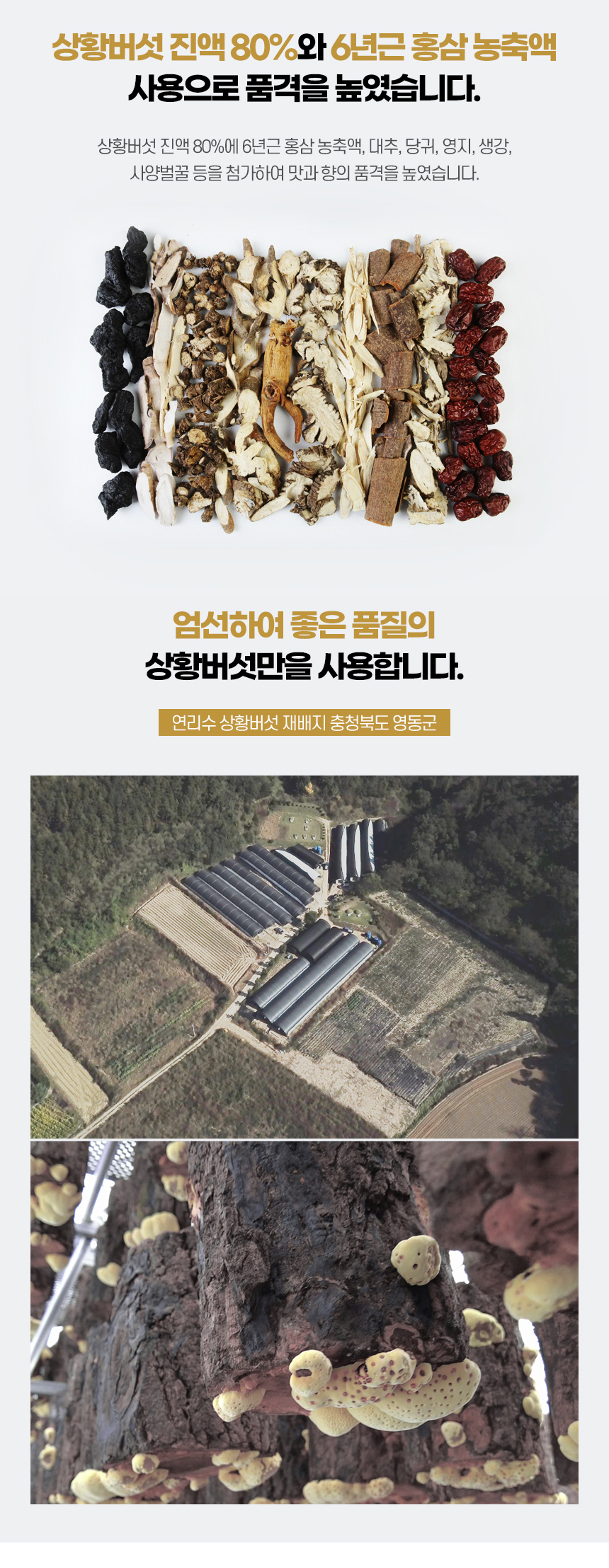 [정다한 연리수] 상황버섯 진액 혼합 홍삼액 70ml x 30포 선물세트