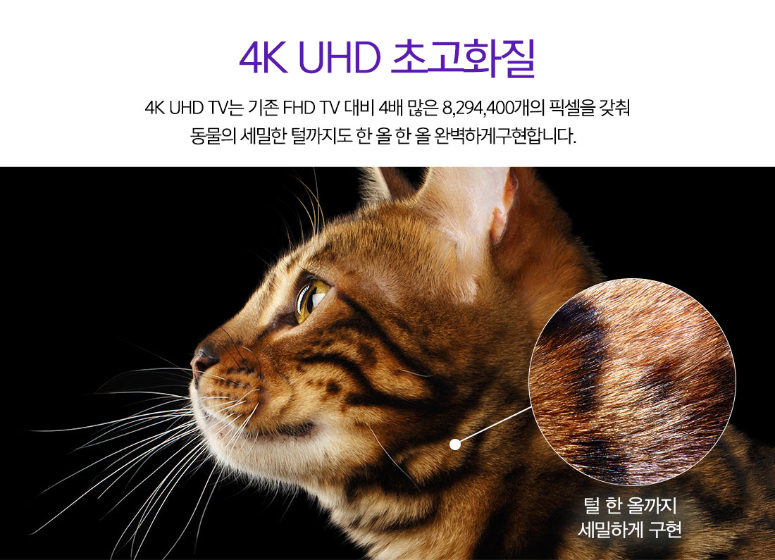 [ZEPA]제파55 UHD 4K TV