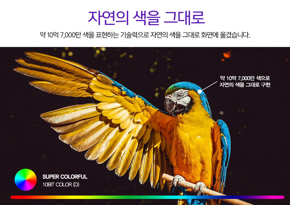 [ZEPA]제파55 UHD 4K TV